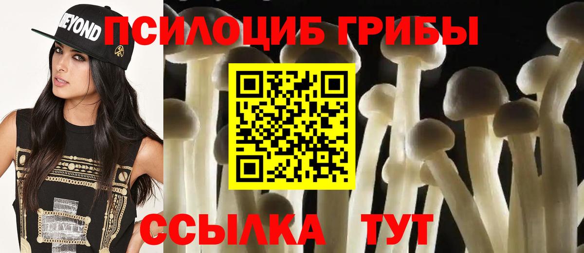 Лесосибирск  Псилоцибиновые грибы Psilocybine cubensis  наркотики  Вход с VPN 
